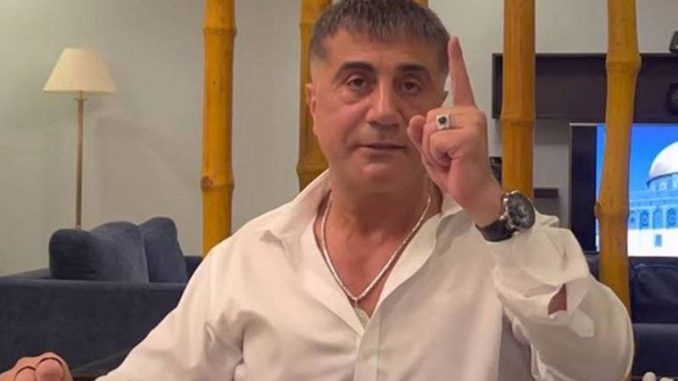 Sedat Peker Kimdir
